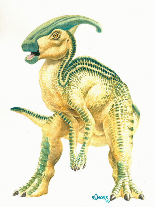 Parasaurolophus by Brett Gross. Water-soluble crayon on water color paper. 11″x15″.