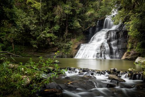 expressions-of-nature:Santa Catarina, Brazil by Luis Fernando Felipe Alves