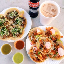 loveandporkbelly:  Asada &amp; al pastor tacos and horchata from Leo’s Taco Truck in Los Angeles CA.  Venice and La Brea 🙌🏼👅💦