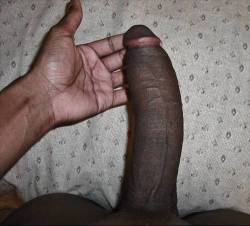 mcaval12:  Follow my Blog:  http://mcaval12.tumblr.com/  Over 13,000 pics and vids of Beautiful Black Dick submit your pic here   http://mcaval12.tumblr.com/submit Over 17,000 followers can’t be wrong!  Reblogg me   