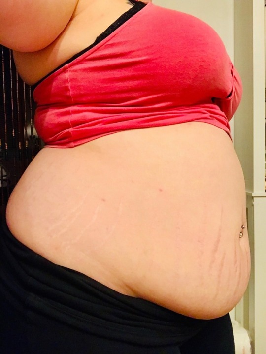 mychubbyqueen:  She sent these super cute pics to my phone. Look how big she’s getting. Her belly is getting so big and heavy, and don’t even get me started on the stretch marks, mmmm 🐷🤤