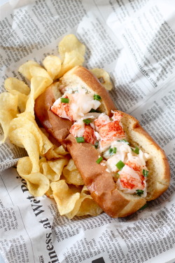 do-not-touch-my-food:  Lobster Roll