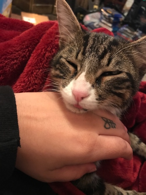 hes just sleeping like this&hellip;&hellip;&hellip;&hellip;&hellip;..