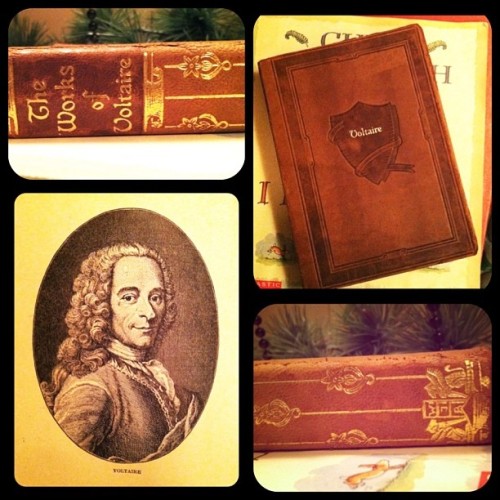 formaldyhydeyes:  I got my books back. Look at this gorgeous darling. :] #books #bookporn #voltaire