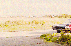 articulated-asdfghjkl:out-in-the-open:Piece O Shit (P.O.S) cars Sam and Dean had to use while baby w