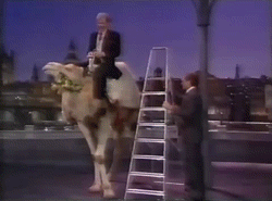 nitratediva:Peter O’Toole makes quite possibly the best entrance ever—riding in on a camel, leaping 