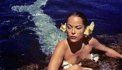 mignonette:  Mermaids of Tiburon - 1962 