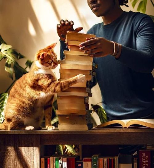 Happy International Cat Day (yesterday) and Happy Book Day Lovers (today)!Photo by Bill (Kenyan Libr