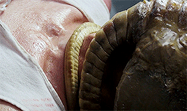 dailyaliens:  Final report of the commercial starship Nostromo, third officer  reporting.
