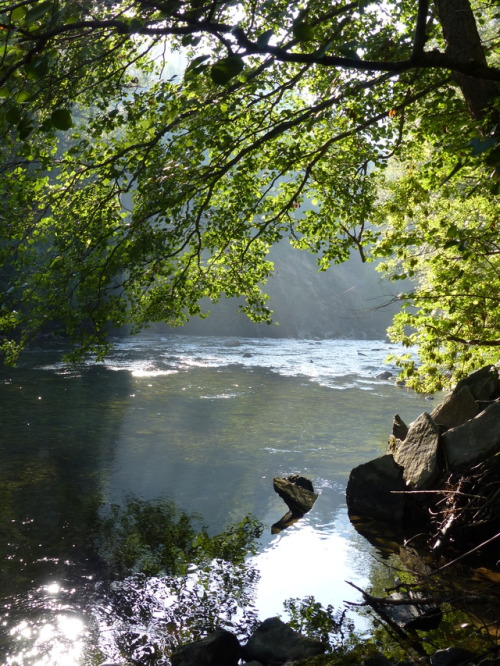 La Noguera Pallaresa (Catalonia)We´re back in the high Catalonian Pyrenees and set up our