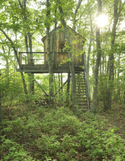 treehauslove:Shope Reno Wharton Treehouse. A romantic getaway in the trees with a nice top deck and a windowsill seat for relaxation.  