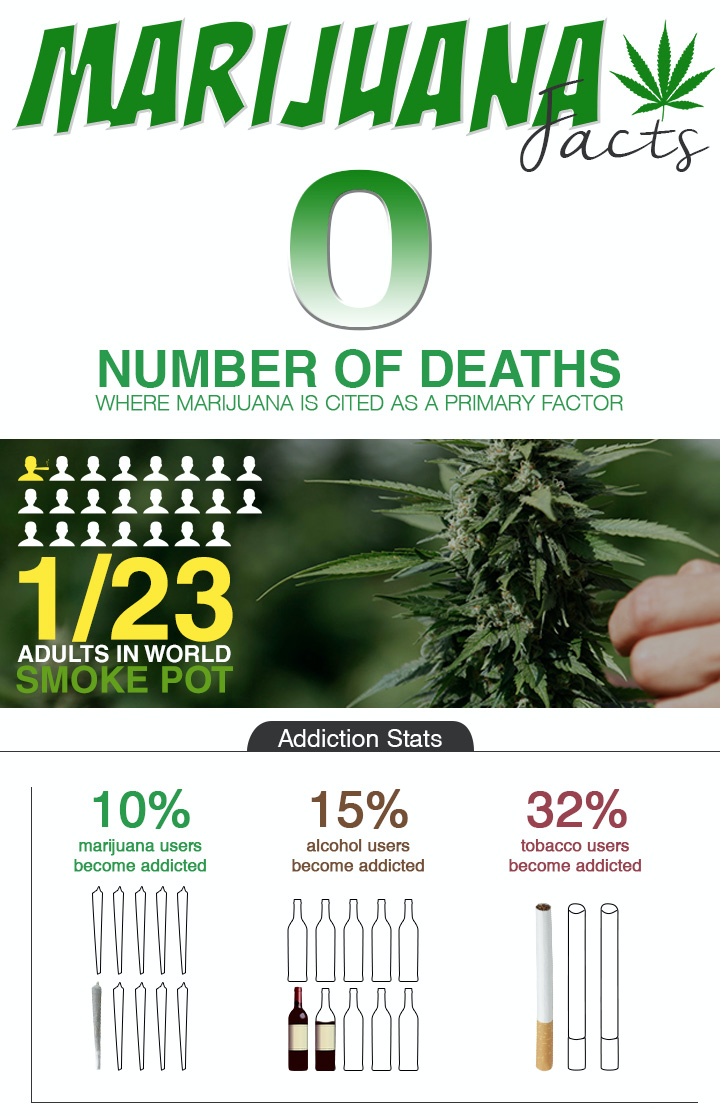 americaninfographic:  Marijuana Facts