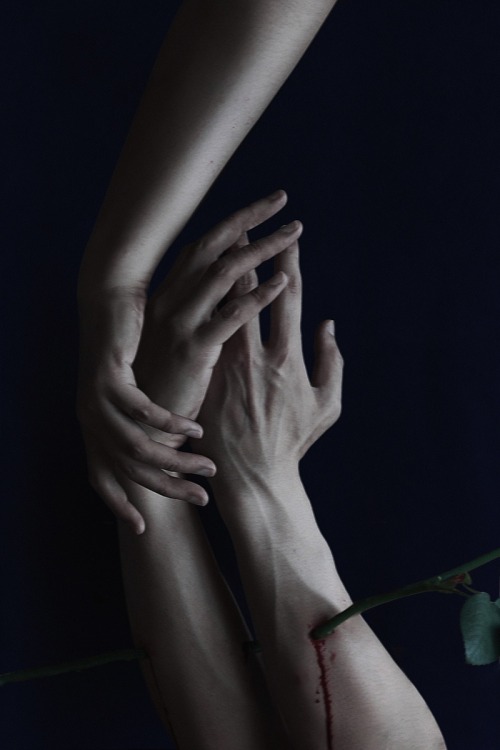 sean-clancy:  I Can Feel You Alive, by Gao Ming Xi 