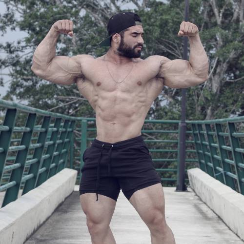 fitmen1:   Alexander  Rendon