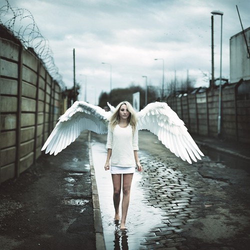 fotosfornovelas:  -Chicas con alas