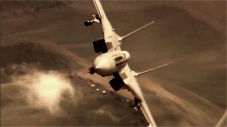 riidaroku:  Northrop Grumman F-14 Tomcat 