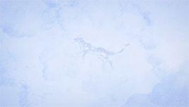 bakkugo:Banana Fish | The Snow of Kilimanjaro↪ ❝[…] Either way, he must’ve