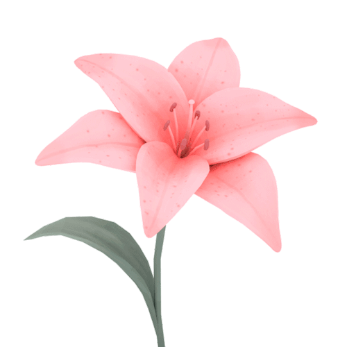 peachyroyalty - I just wanna make flowers lately.