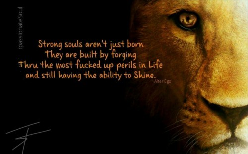 thewitchywench:  1984dilligaf:  (>‿◠)✌  So true .