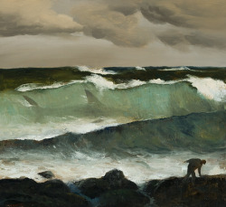 peira:  alongtimealone: Rick Amor:  Shark in a Wave (2002) 