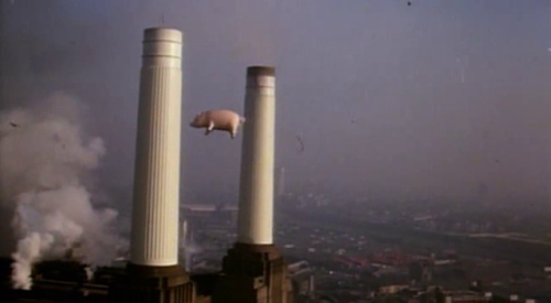 calimarikid:  Pink Floyd Animals photoshoot 1977 