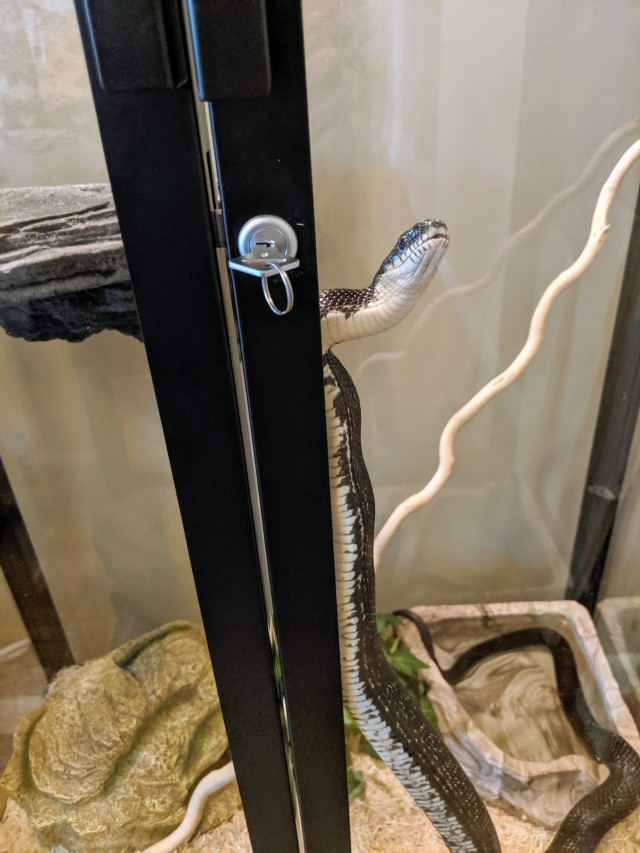 could I pleassse get some sssservice