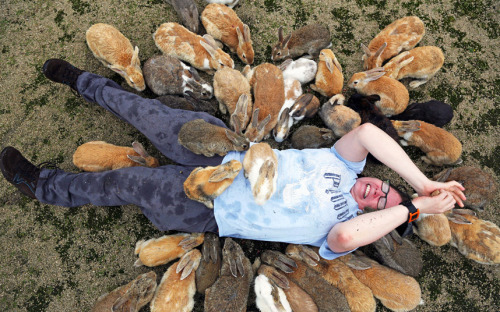 horny-high-love:  horny-high-love:  intoxicatingtouches:  zenaxaria:  lost-and-found-box:  There’s a small island in Japan called Okunoshima with thousands of adorable rabbits! All photos from the (more informative) Telegraph gallery.  are you fucking