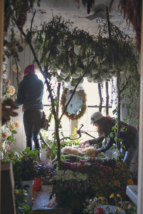 itscolossal:  Three-Dozen Floral Designers Transform a Condemned Detroit Duplex with 36,000 Flowers 