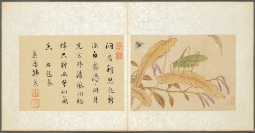 Album of Miscellaneous Subjects, Leaf 7, Fan Qi, 1600s, Cleveland Museum of Art: Chinese ArtLeaf 7 H