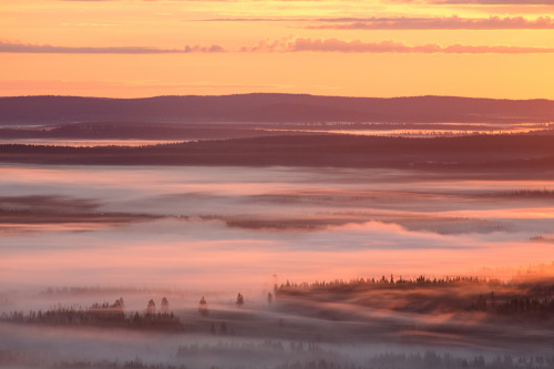 tiinatormanenphotography: Another epic misty sunrise. 11th Aug 2015, Iso-syöte, Finland by Tiin