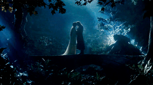 tlotrgifs:Our Favorites: [Day 07/24] Elise’s Favorite Couple (Lord of the Rings)↳ Aragorn & Arwe