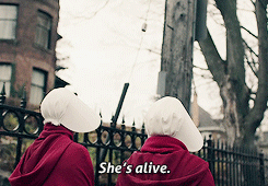 ahandmaidstale:It’s only funny if you know Latin. Actually, it’s probably only funny if you’re a twe