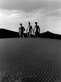 gonevirile:Jeff Clark, Troy Couture and Noah Christopher by Greg Gorman