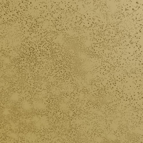 Finding Beauty In The Disgusting 
