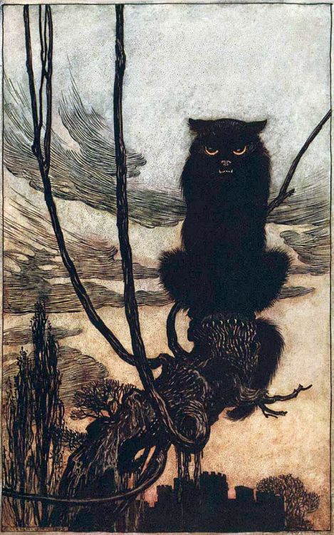 the-cinder-fields:Arthur Rackham illustration, Jorinda and Joringel from Grimm’s Fairy Tales, 