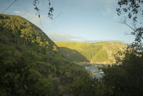 Forest ViewStorms River, Eastern Cape, South Africa