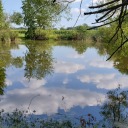 crazydaisy76x2:
