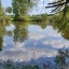 crazydaisy76x2: