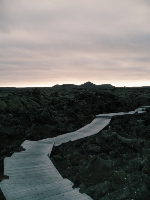 danielodowd:  Josh Haroldson