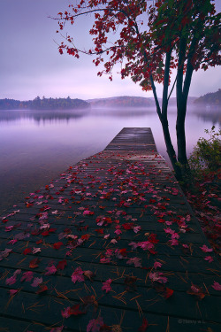 ponderation:  Lake after Rain by Henry Liu 