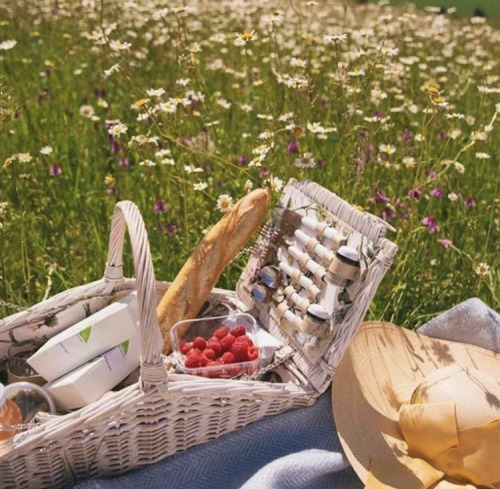 to say that I want to have a picnic in field of flowers would be a big understatement and a direct a