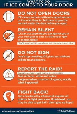 weavemama: weavemama:  IMPORTANT INFO FOR WHAT’S CURRENTLY HAPPENING IN TRUMP’S AMERICA: a lot of unwarranted raids are happening across the U.S right now. The latest states that have been targeted by this massive sweep is California, Arizona, Texas,