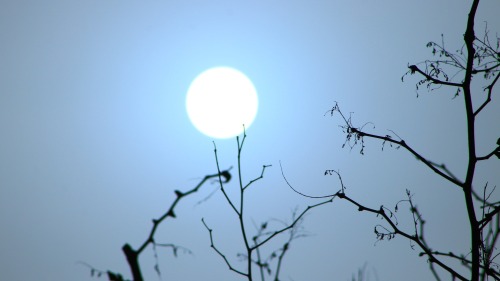 A blue sun. March 28 (2021), China. CFP.