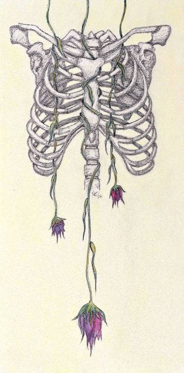 ThorsleyWorks aka Nicole Thorsley (Canadian, St. Albert, Canada) - Rib Cage With Flowers  Drawings