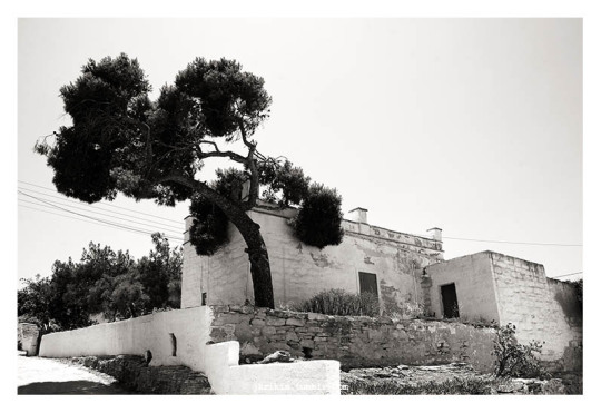 iraklia © 2020 Yiannis Krikis