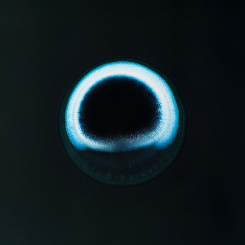 zeroing:  Sarah Schönfeld