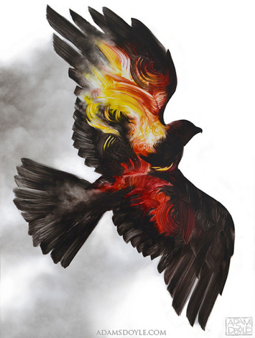 lohrien:  Illustrations by Adam S. Doyle