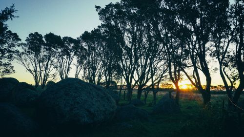 taranaki