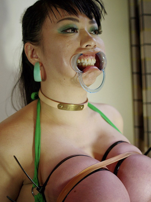 ellepig:  collegecuckcake:  humiliationissex:  On our third date, instead of going to dinner, Erica and I made a video. First I pulled her dress down, exposing her huge cowtits. I used a handful of zip ties and a big rubber band to make them look stupid,