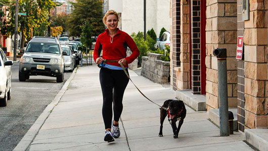 Runners hit the streets with shelter dogs     Volunteers across the nation are taking shelter dogs on daily jogs to give them a little exercise and a better chance at adoption.